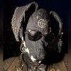the_oneeyedcat